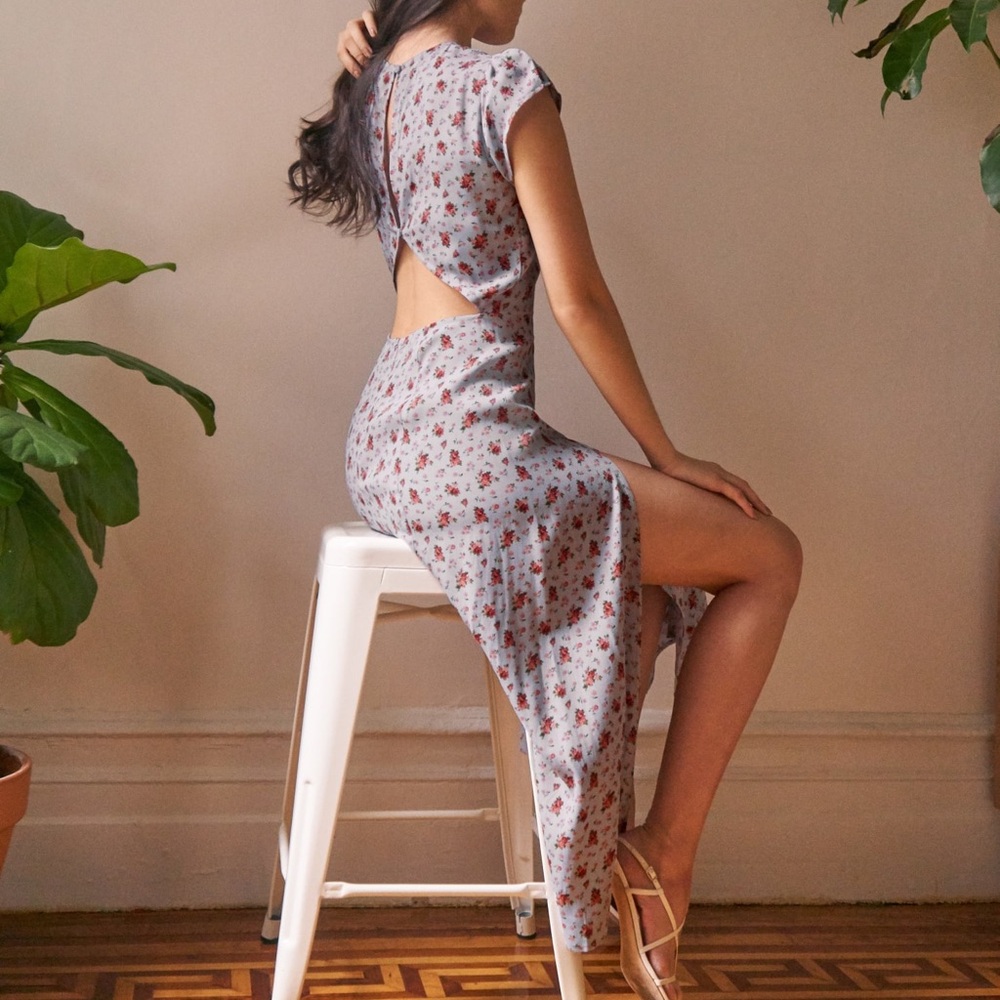 Reformation Pale Blue Floral Backless Midi Dress